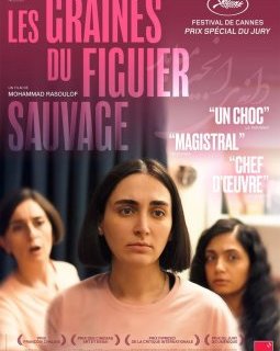 Les Graines du figuier sauvage - Mohammad Rasoulof - critique