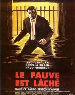 Le fauve est lâché - Maurice Labro - critique 