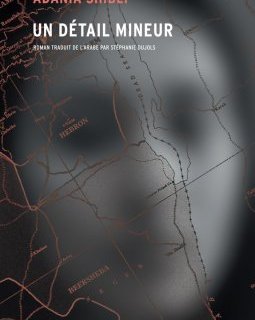 Un détail mineur - Adania Shibli - critique du roman