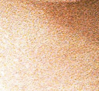 L'annulaire - Diane Bertrand - critique