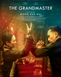 The Grandmaster - Wong Kar-wai - critique