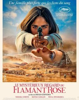 Le Mystérieux regard du flamant rose - Diego Céspedes - critique