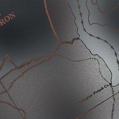 Un détail mineur - Adania Shibli - critique du roman