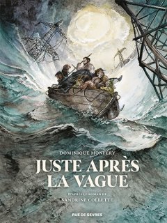 Juste après la vague – Dominique Monféry d'après le roman de Sandrine Collette – la chronique BD