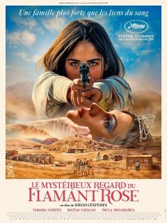 Le Mystérieux regard du flamant rose - Diego Céspedes - critique