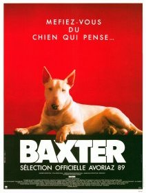 Baxter - Jérôme Boivin - critique