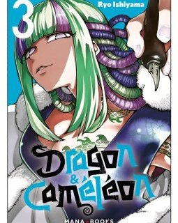 Dragon & Caméléon T.3 - Ryo Ishiyama - la chronique Manga