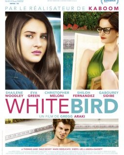 Gregg Araki : le top des films du réalisateur de White Bird