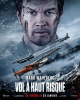 Vol à haut risque - Mel Gibson - critique