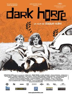 Dark Horse - Dagur Kári - critique