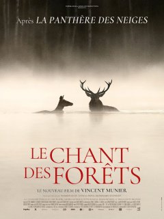 Le chant des forêts - Vincent Munier - critique