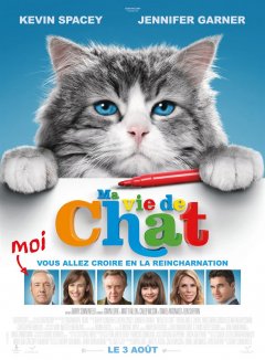 Ma Vie De Chat La Critique Du Film