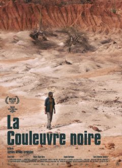 La couleuvre noire - Aurélien Vernhes-Lermusiaux - critique