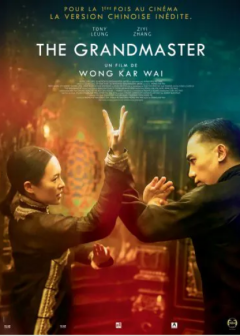 The Grandmaster - Wong Kar-wai - critique